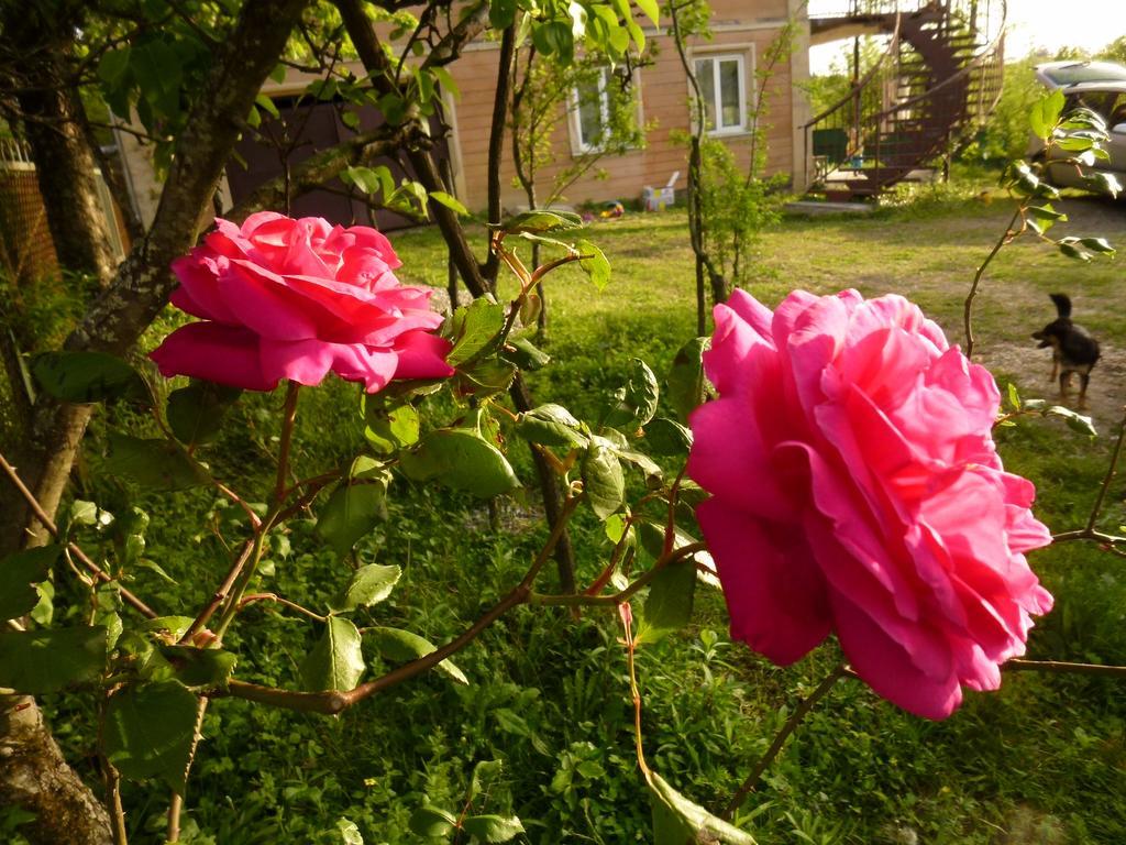 Country House Uliana Tskaltubo Dış mekan fotoğraf