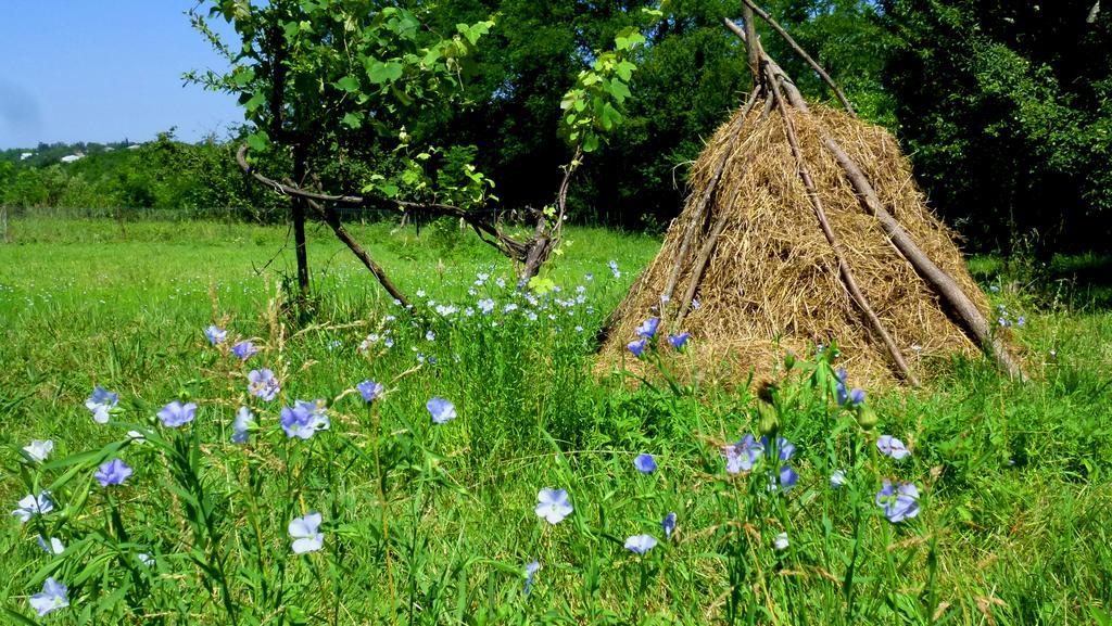 Country House Uliana Tskaltubo Dış mekan fotoğraf